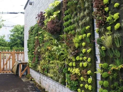 Vertical plants garden wall
