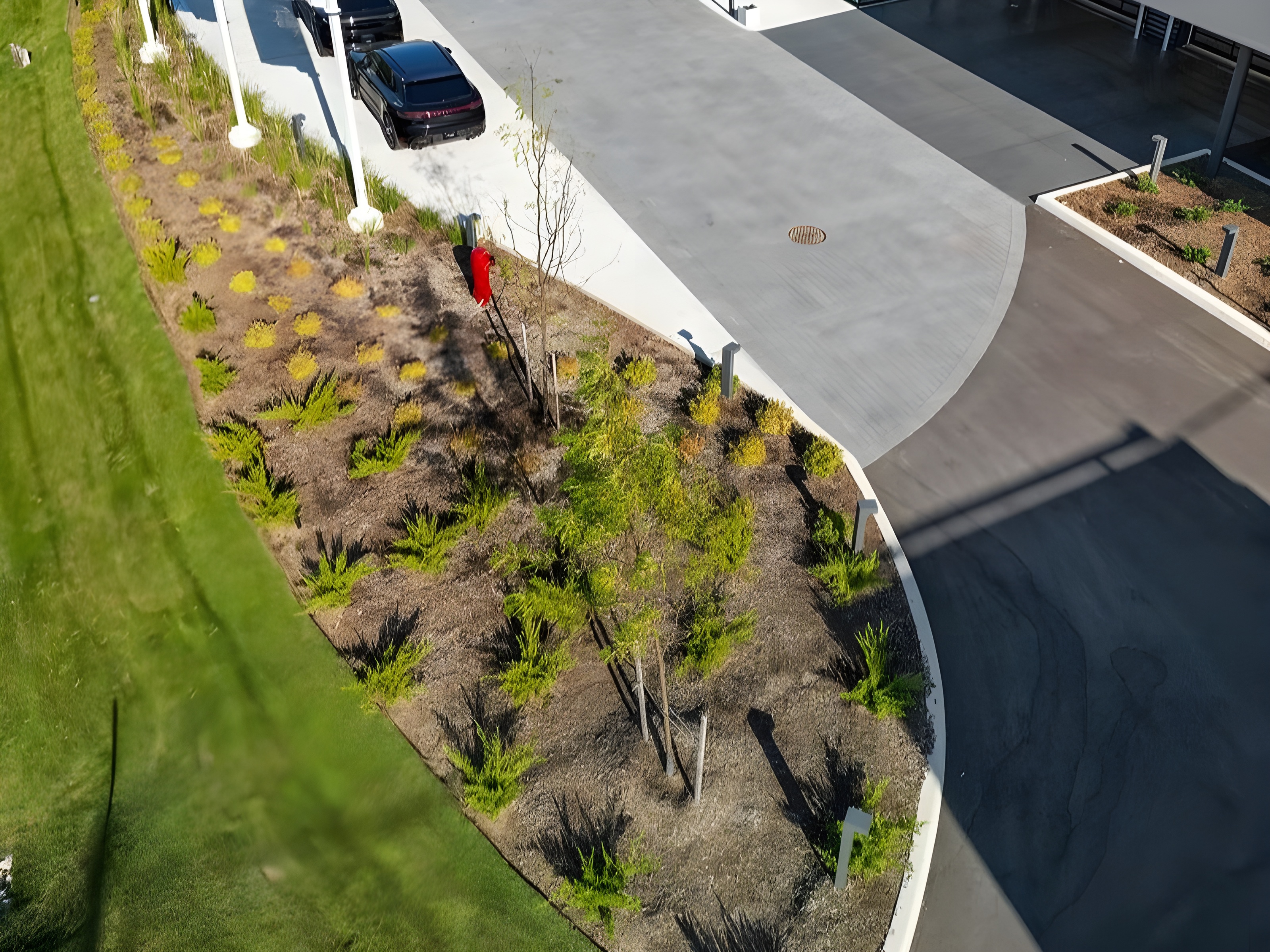 Why Soil Cell Systems Matter in Urban Environments