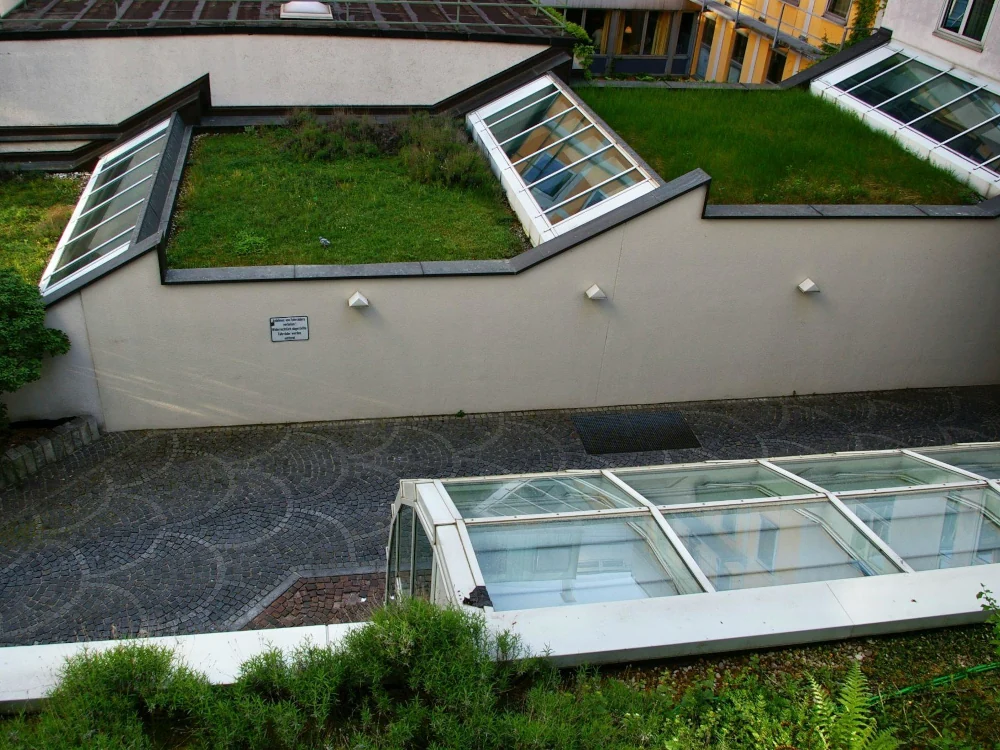 drone view living roof 2