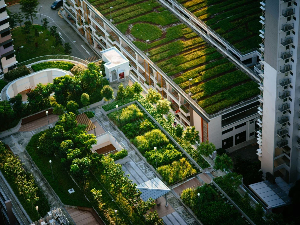 drone view living roof 3